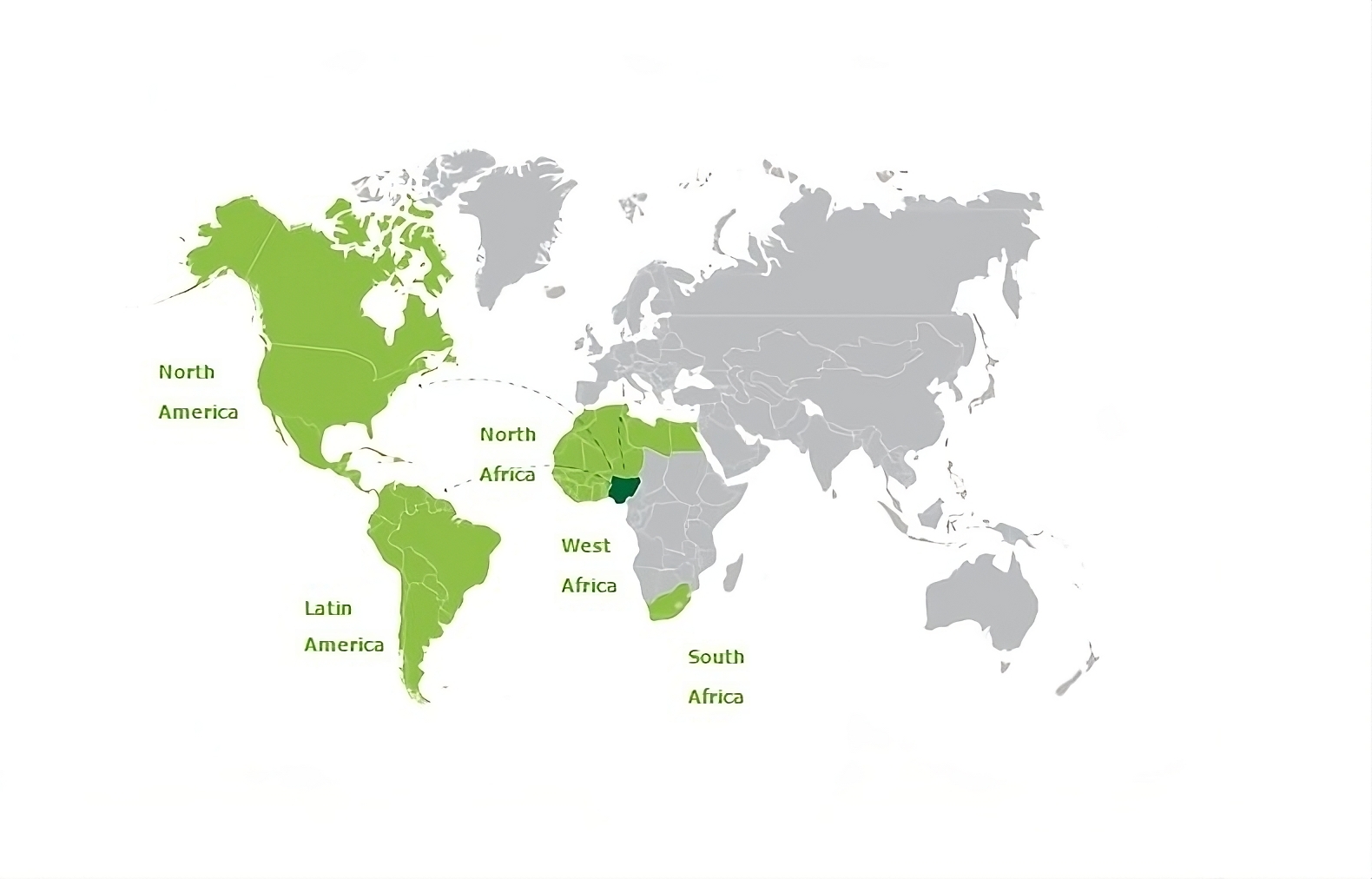 Notore Distribution Channel – Notore Chemical Industries Plc